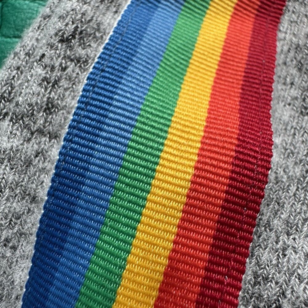 NEW Free Press Sweatshirt Womens L Gray Rainbow Accent Long Sleeve Crew Neck NWT - Picture 15 of 16